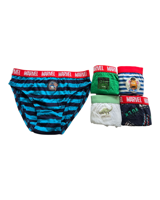 Multi Briefs 5 Pack