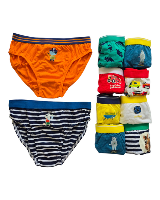 Multi Briefs 10 Pack