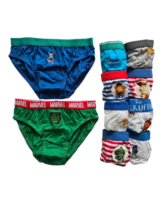Multi Briefs 10 Pack