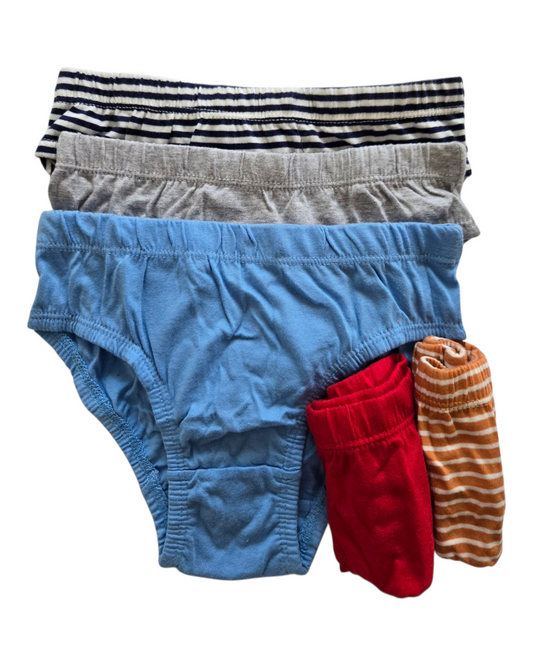 Multi Briefs 5 Pack