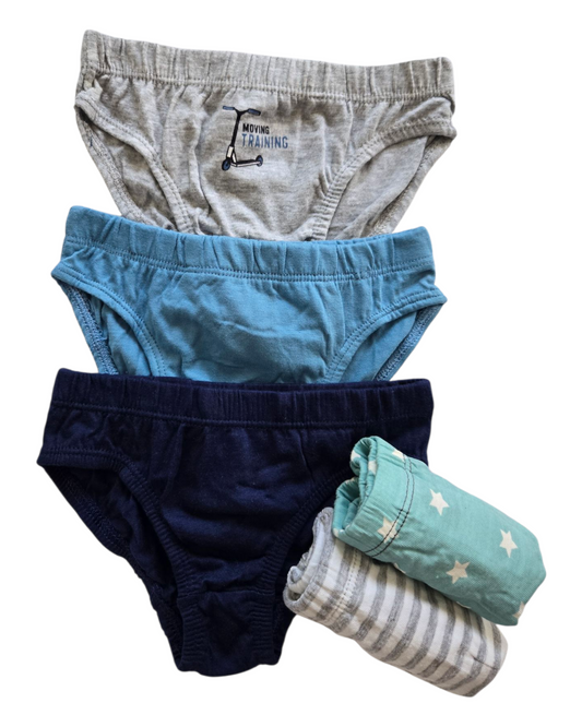 Multi Briefs 5 Pack